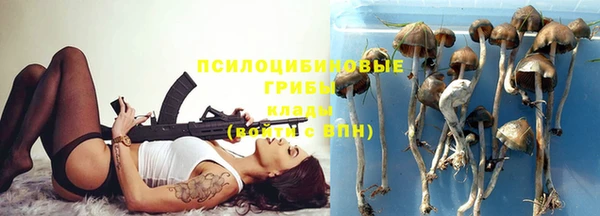 ГАЛЛЮЦИНОГЕННЫЕ ГРИБЫ Дмитров