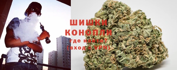 Альфа ПВП Дмитриев