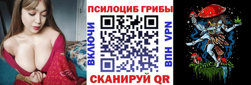 Купить  Полярный  Галлюциногенные грибы Magic Shrooms 